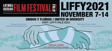 line drawing of two hands folded over each other like two people embracing, in different shades of blue-green, large bold black text at the top reads "LIFFY 2021 November 7-14, United in Diversity"